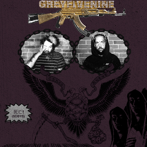 国产免费野战视频
