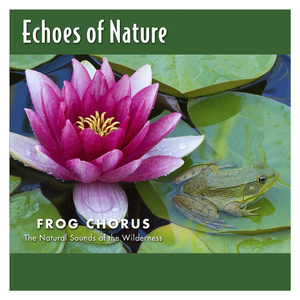 国产免费野战视频
